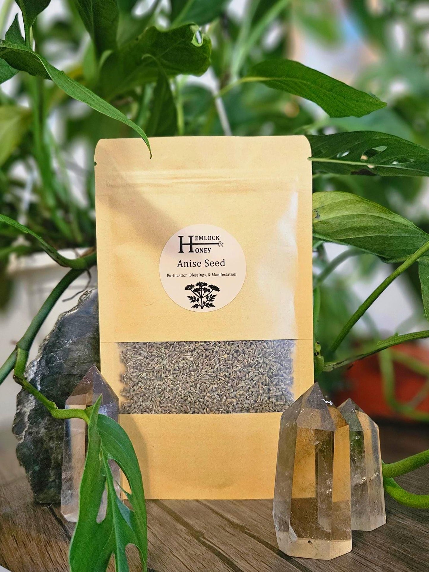 Anise Seed for Protection, Luck, & Clarity
