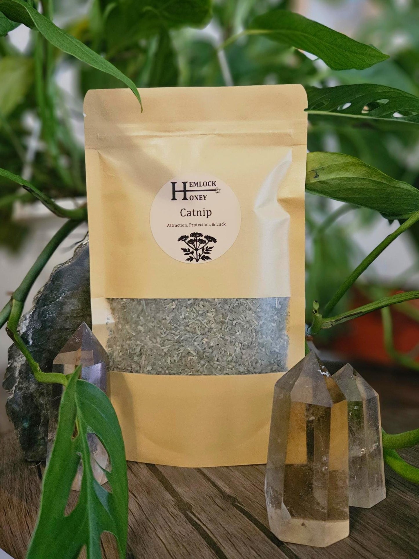 Catnip for Peace, Luck, & Attraction