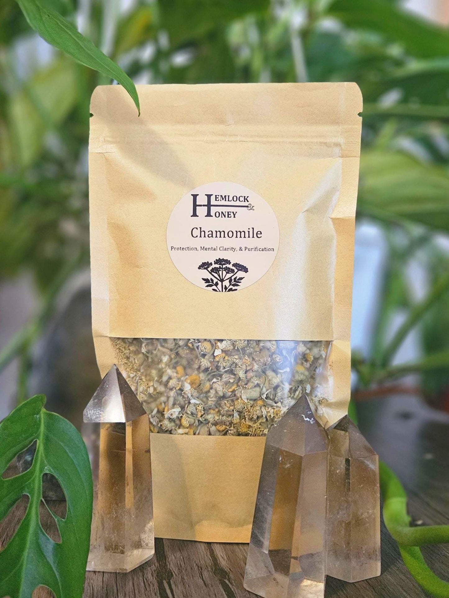German Chamomile for Peace, Luck, & Cleansing