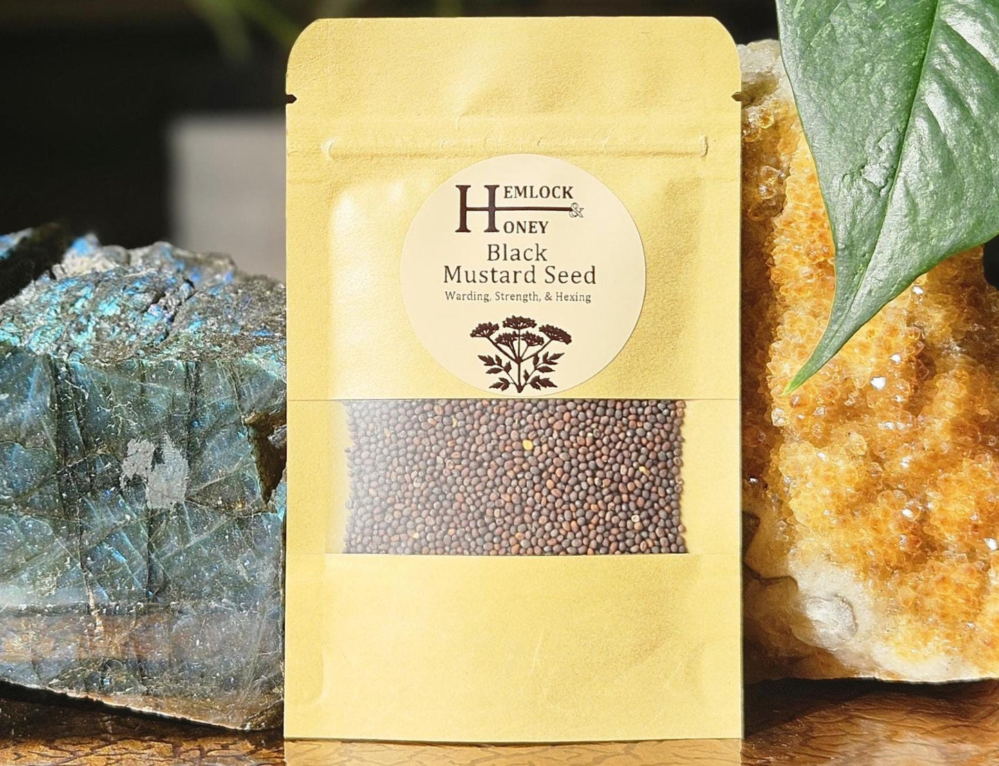 Black Mustard Seed for Confusion, Protection, Baneful Workings, & Boundary Setting