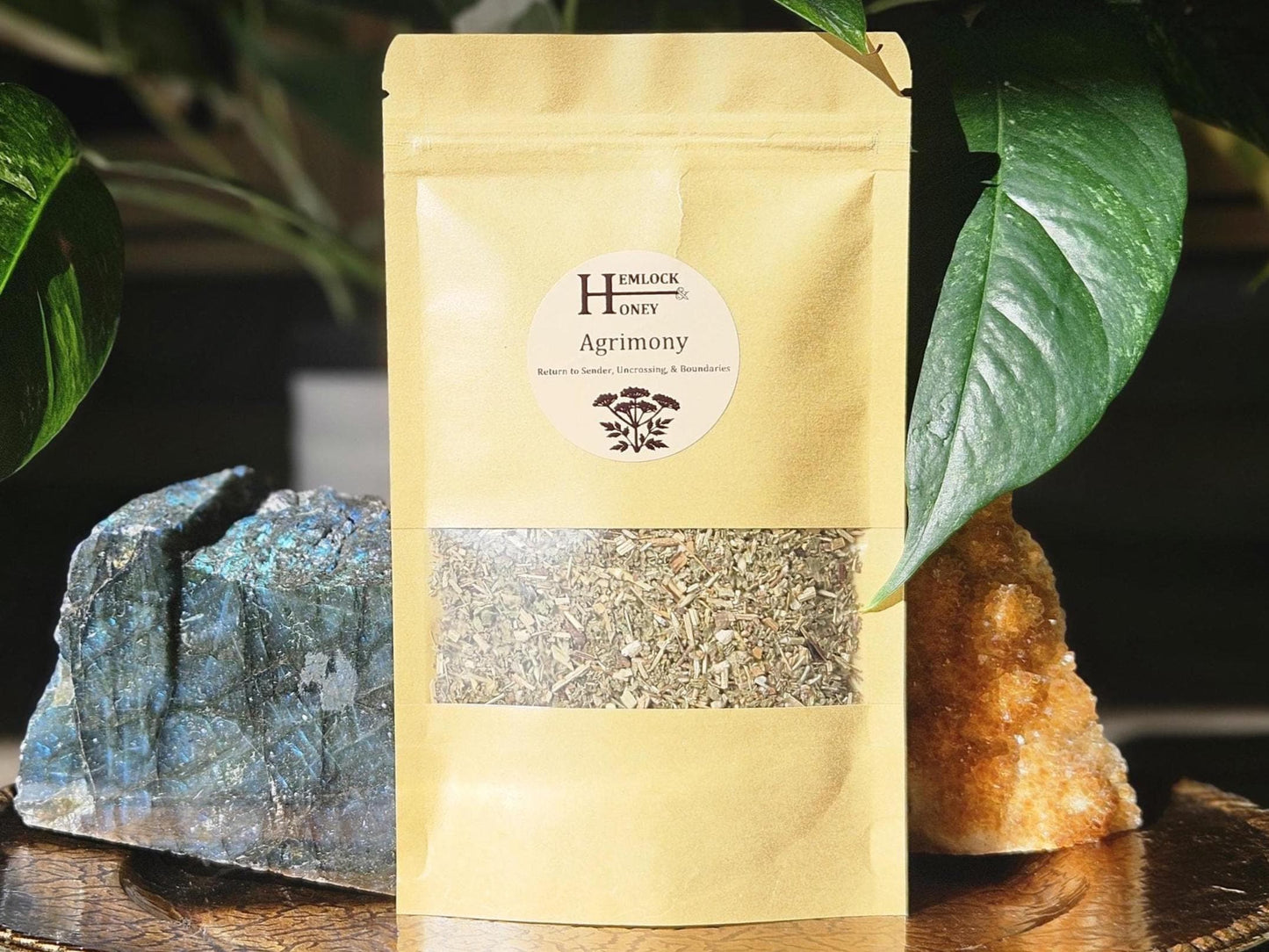 Agrimony for Protection, Reversals, & Uncrossing