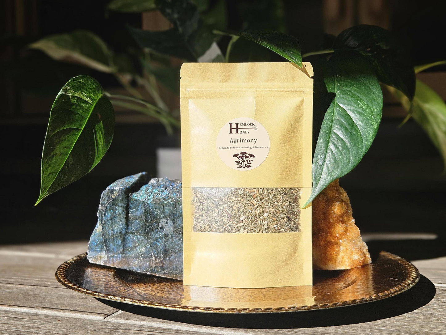 Agrimony for Protection, Reversals, & Uncrossing