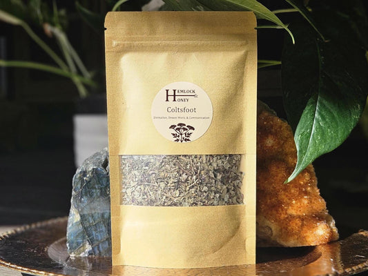 Coltsfoot for Communication, Dream Magick, & Divination