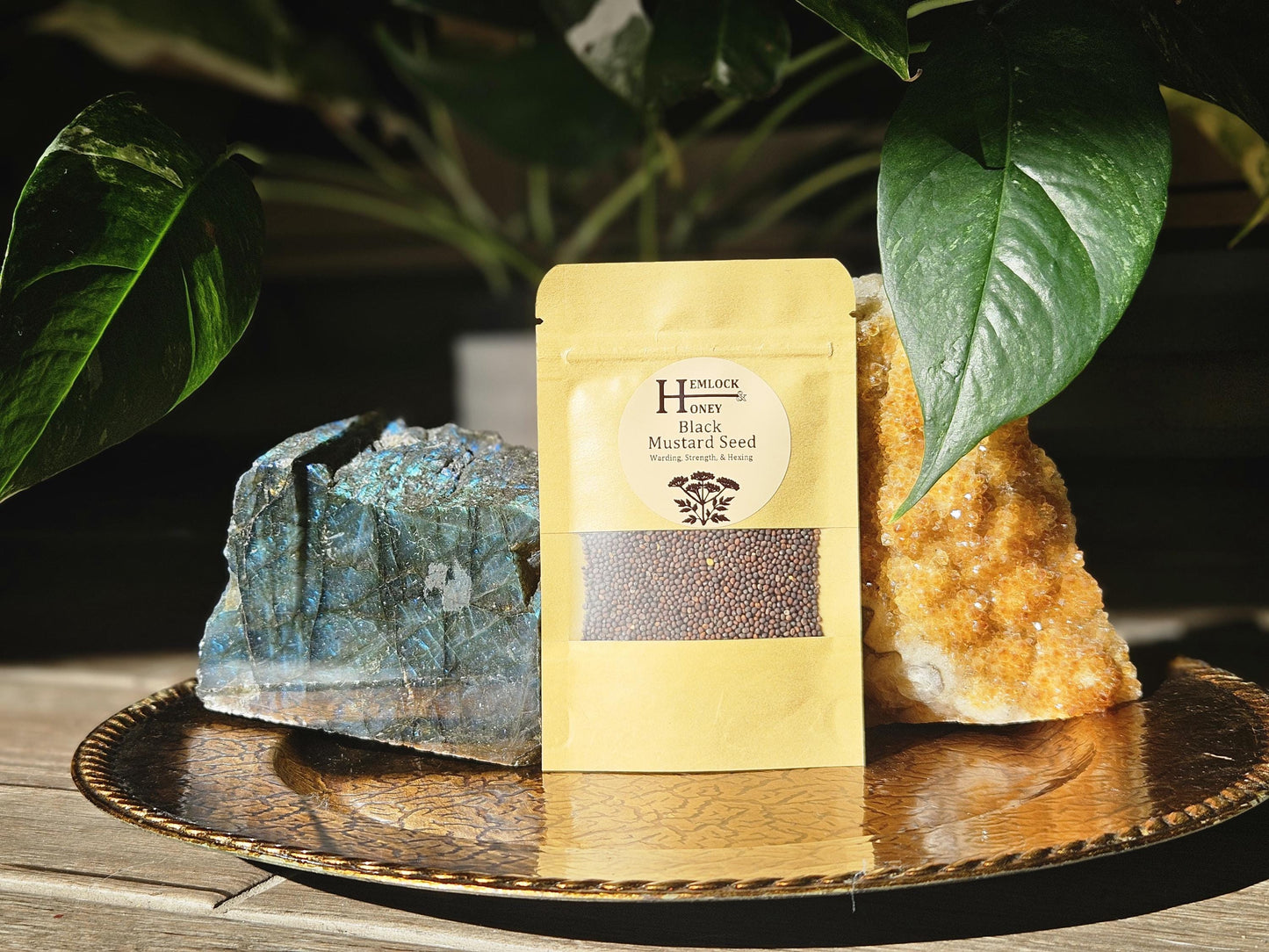 Black Mustard Seed for Confusion, Protection, Baneful Workings, & Boundary Setting