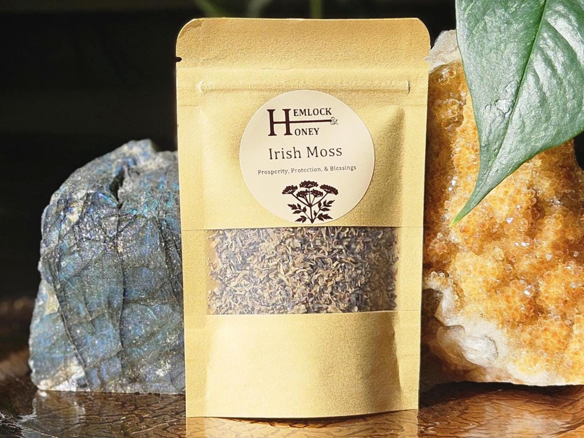 Irish Moss for Money Drawing, Blessings, & Travel Luck