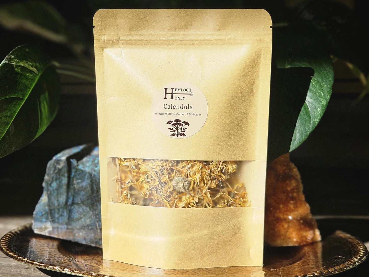 Calendula (Calendula officinalis) for Protection, Dream Divination, Legal Workings, & Prosperity