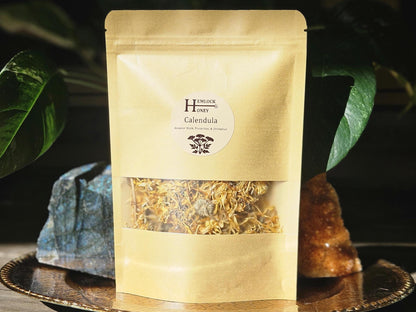 Calendula (Calendula officinalis) for Protection, Dream Divination, Legal Workings, & Prosperity