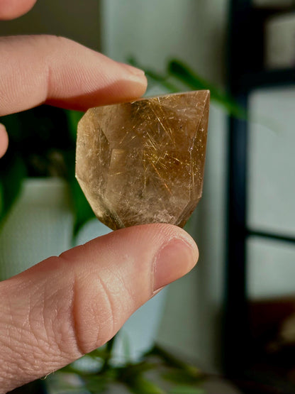 Rutilated Quartz Points: Freeform Crystals