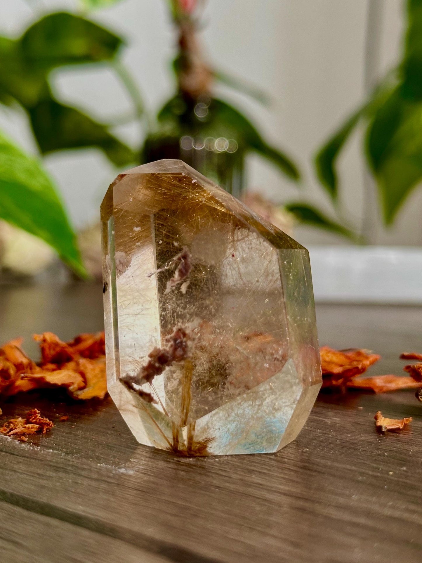 Rutilated Quartz Points: Freeform Crystals