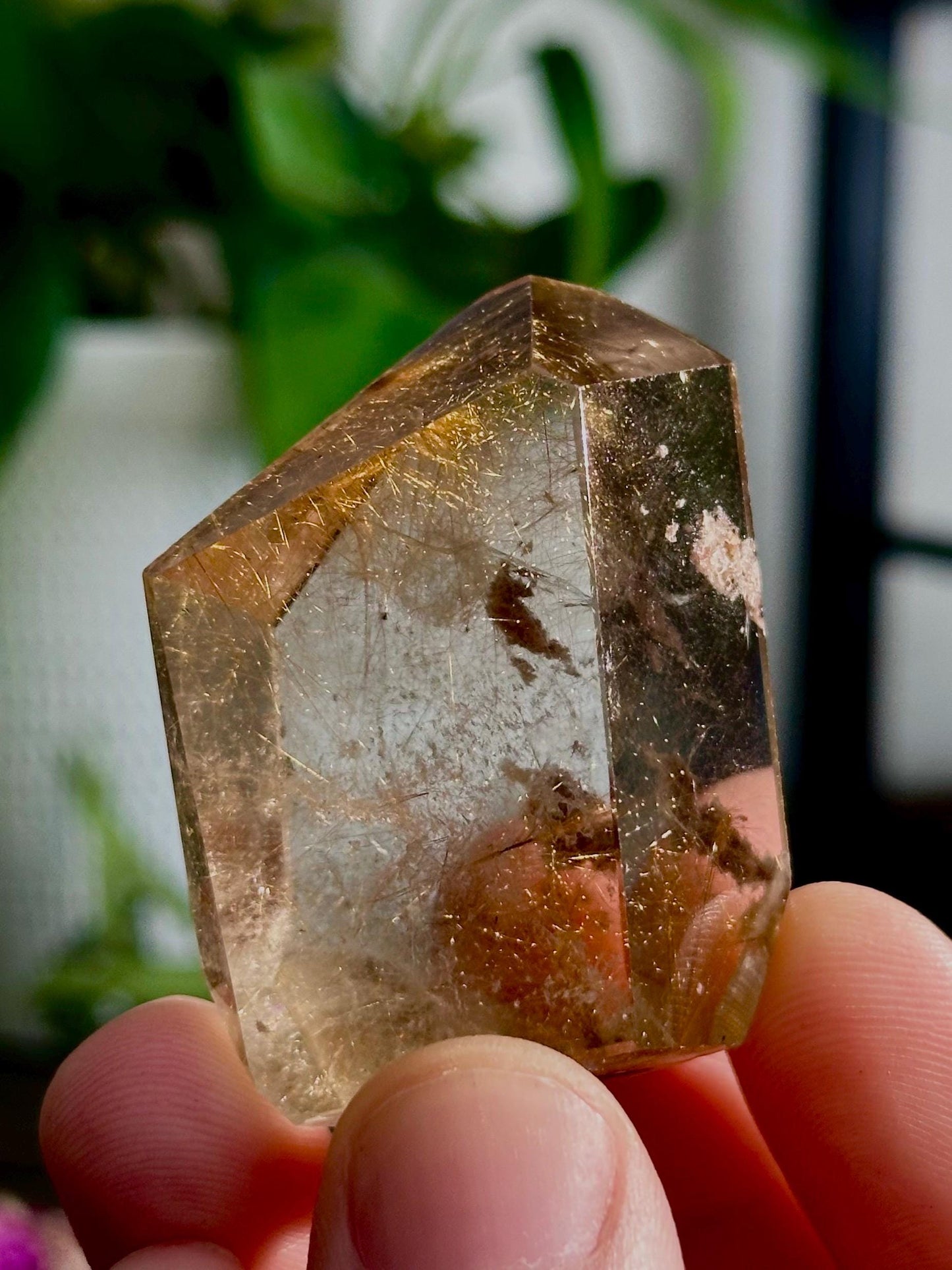 Rutilated Quartz Points: Freeform Crystals