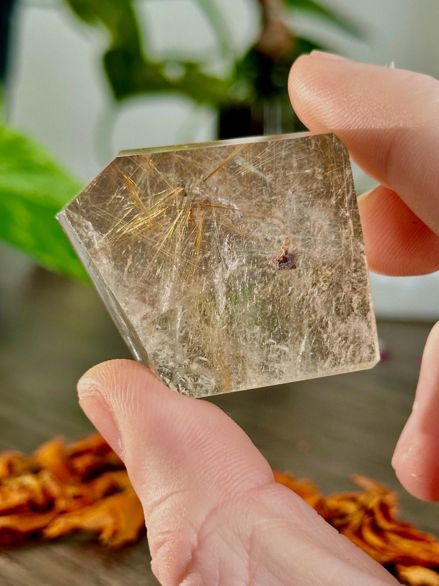 Rutilated Quartz Points: Freeform Crystals