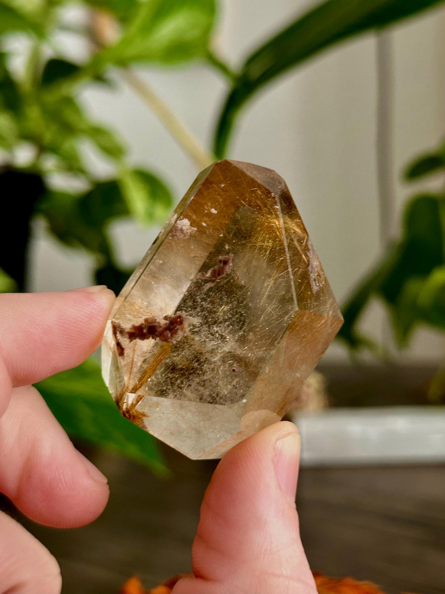 Rutilated Quartz Points: Freeform Crystals