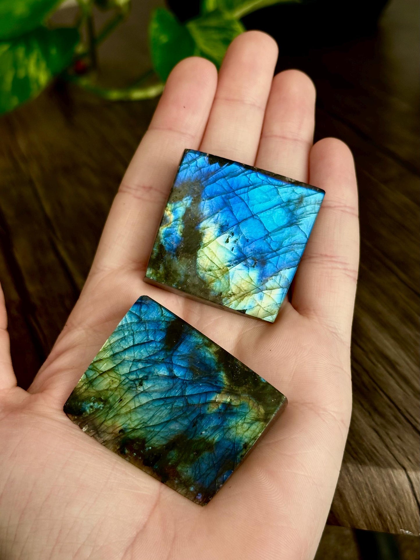Labradorite Slab Chunks for Protection, Spiritual Abilities, & Personal Power