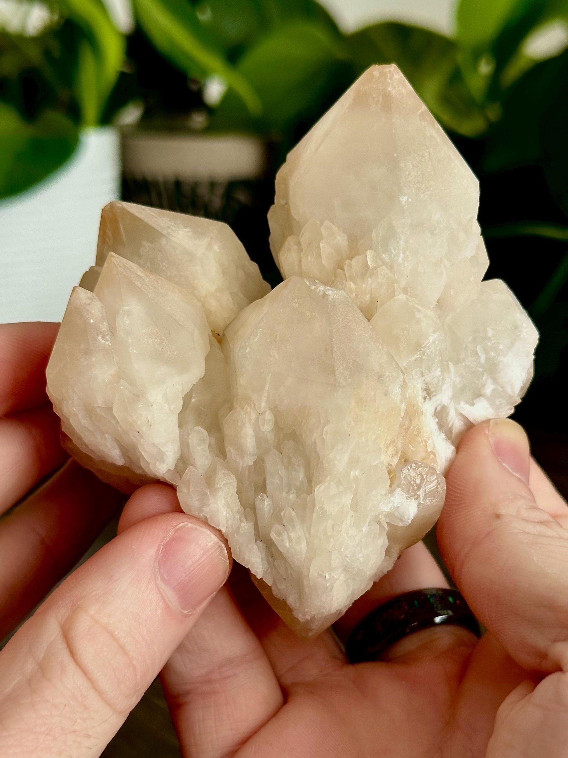 XL Candle // Pineapple Quartz Points - Emotional Healing, Spiritual Insights, & Inner Light - Hemlock & Honey