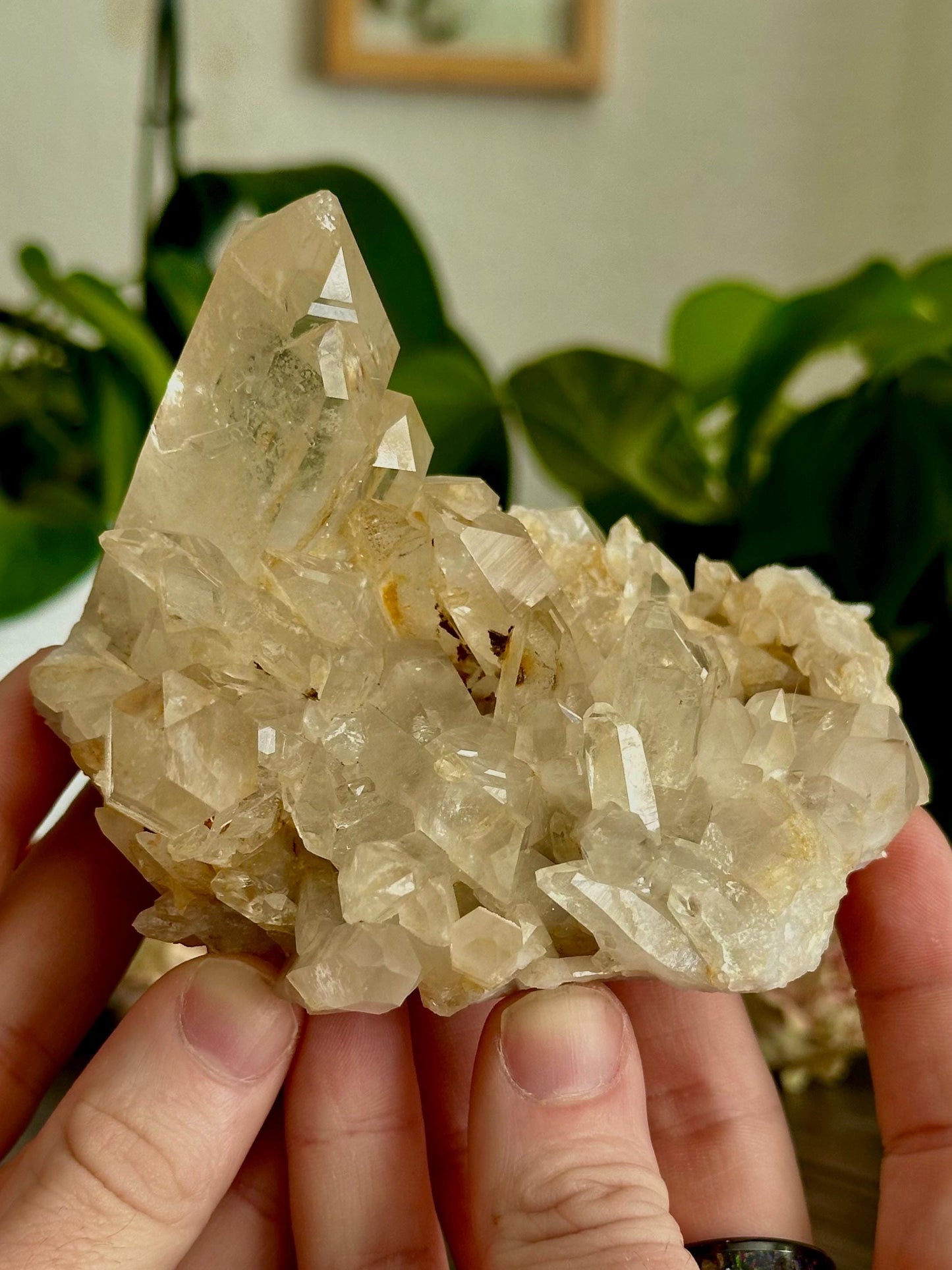 Negative Entropic Quartz Clusters- Energetic restoration, Recovery + Long-term Healing work.