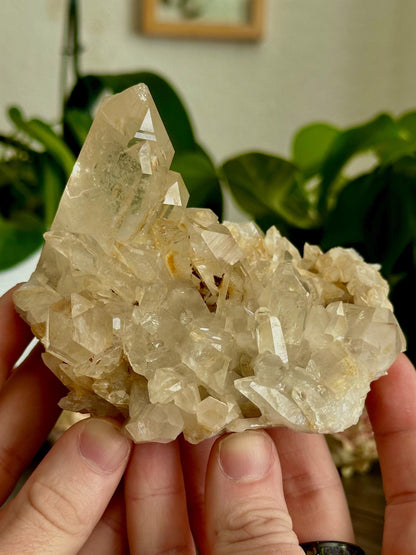 Negative Entropic Quartz Clusters- Energetic restoration, Recovery + Long-term Healing work.