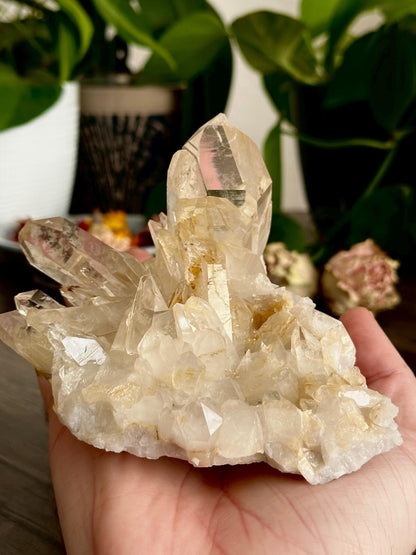 Negative Entropic Quartz Clusters- Energetic restoration, Recovery + Long-term Healing work.