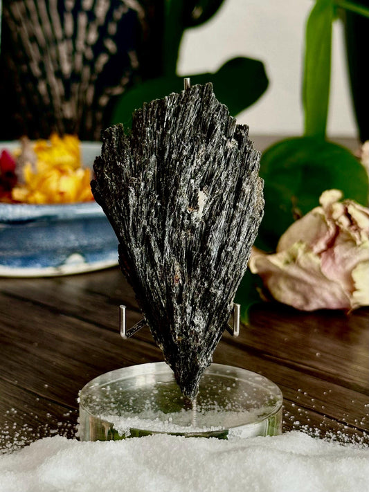 Black Kyanite- Energetic Protection, Boundary work, & Emotional reset