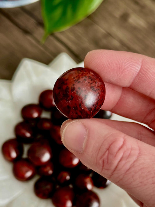 Sea Beans (Drift Seeds) - Protection, Endurance + Patience & Safe Travel