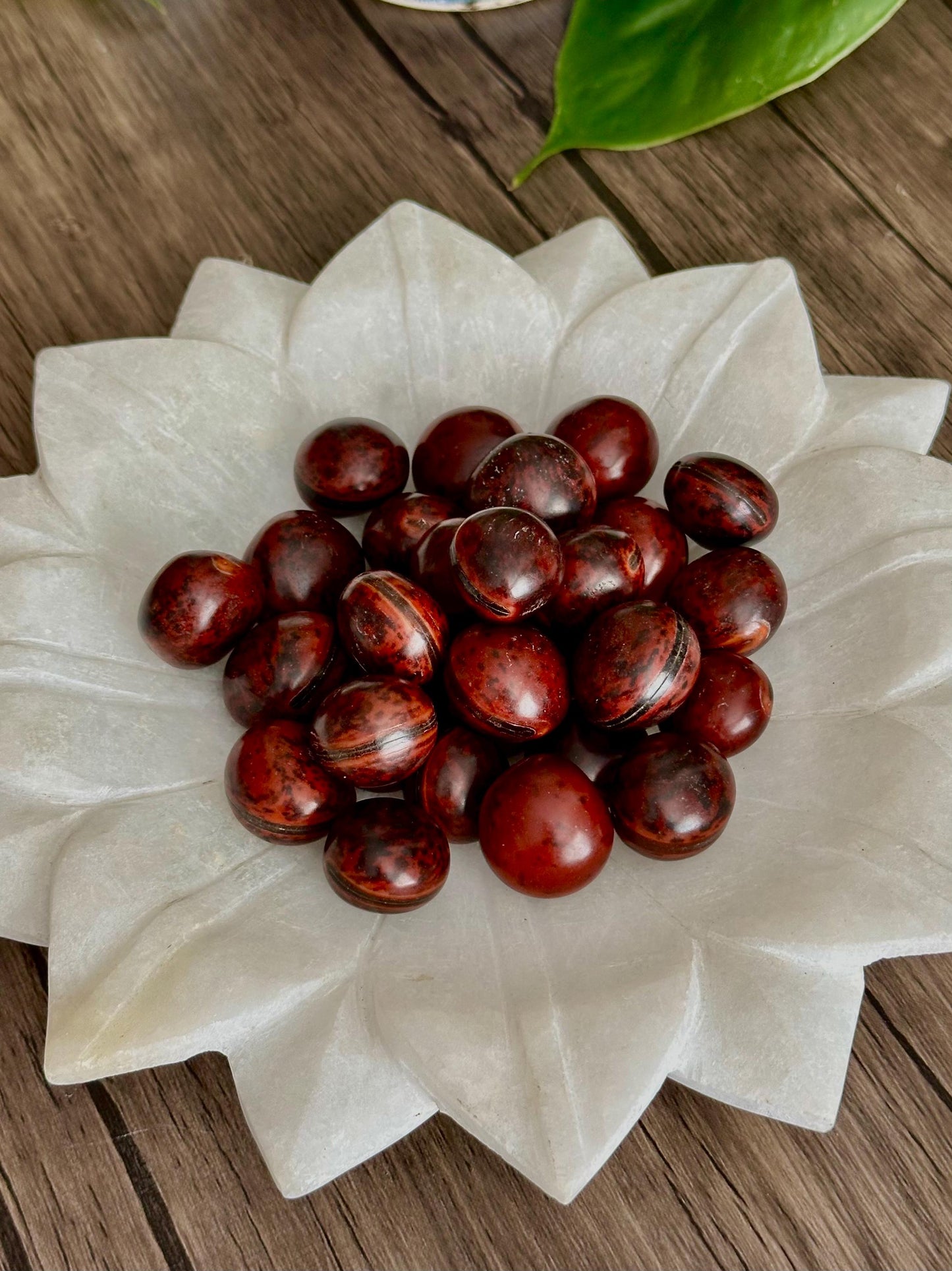 Sea Beans (Drift Seeds) - Protection, Endurance + Patience & Safe Travel - Hemlock & Honey