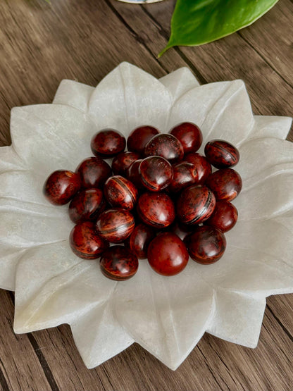 Sea Beans (Drift Seeds) - Protection, Endurance + Patience & Safe Travel - Hemlock & Honey