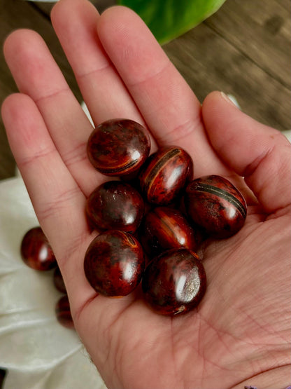 Sea Beans (Drift Seeds) - Protection, Endurance + Patience & Safe Travel - Hemlock & Honey