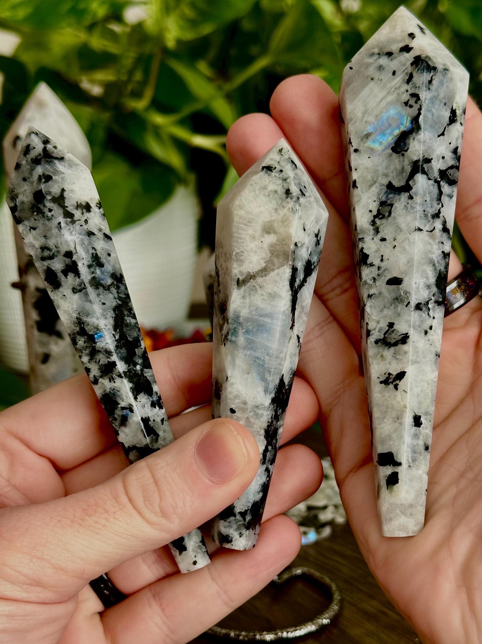 Rainbow Moonstone Scepters - Spiritual Guidance, Intuition + Emotional Awareness - Hemlock & Honey