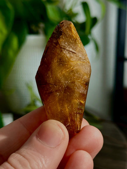 Rutilated Quartz Points: Freeform Crystals