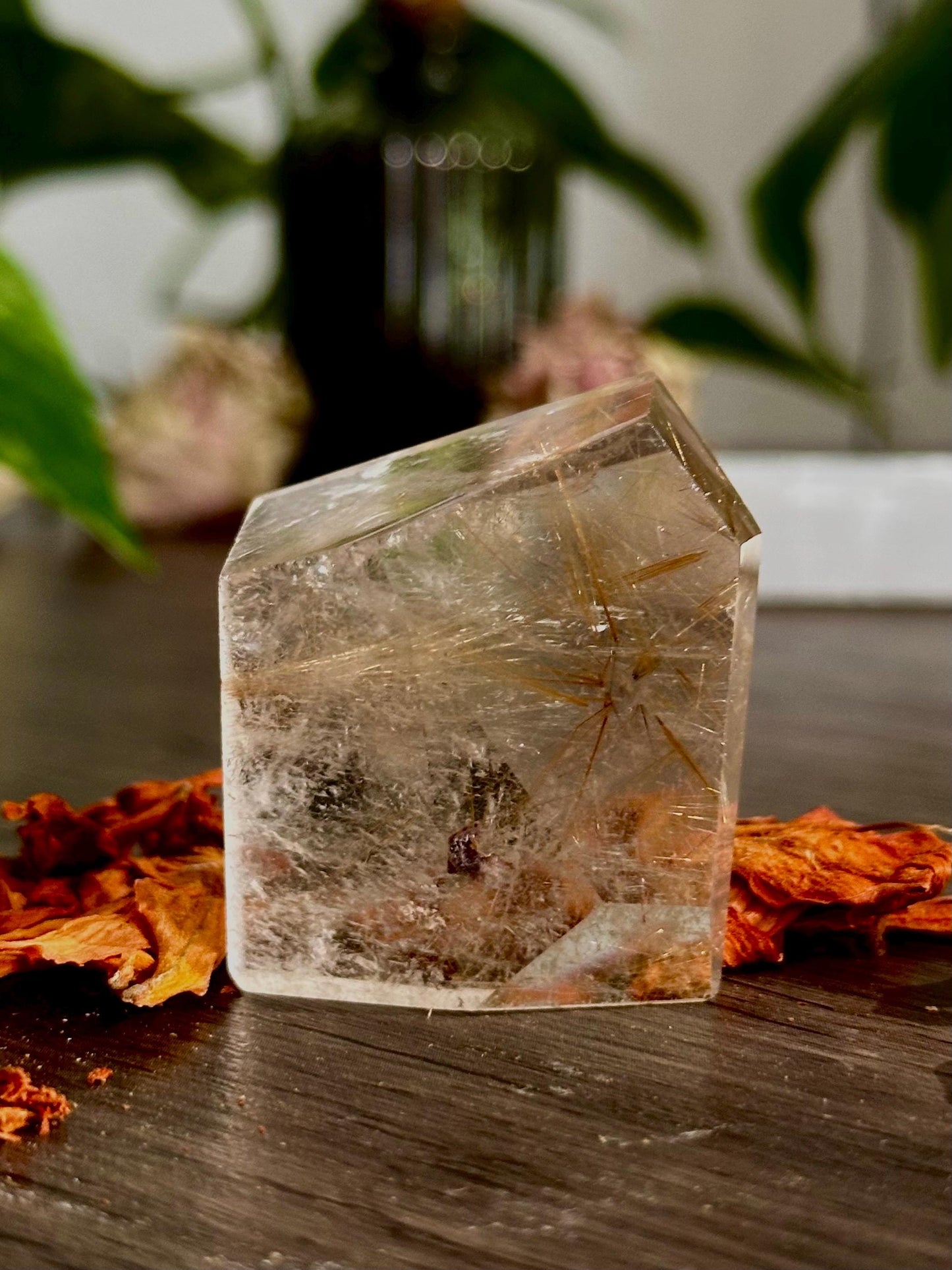 Rutilated Quartz Points: Freeform Crystals