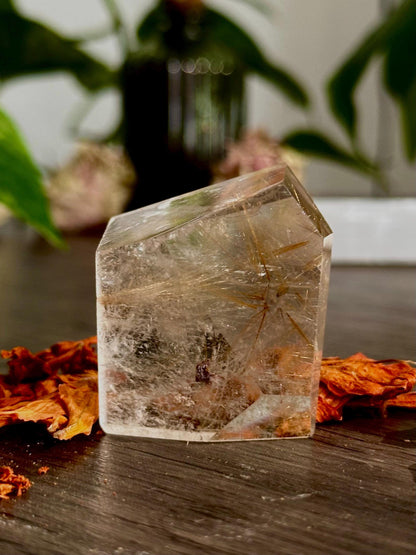 Rutilated Quartz Points: Freeform Crystals