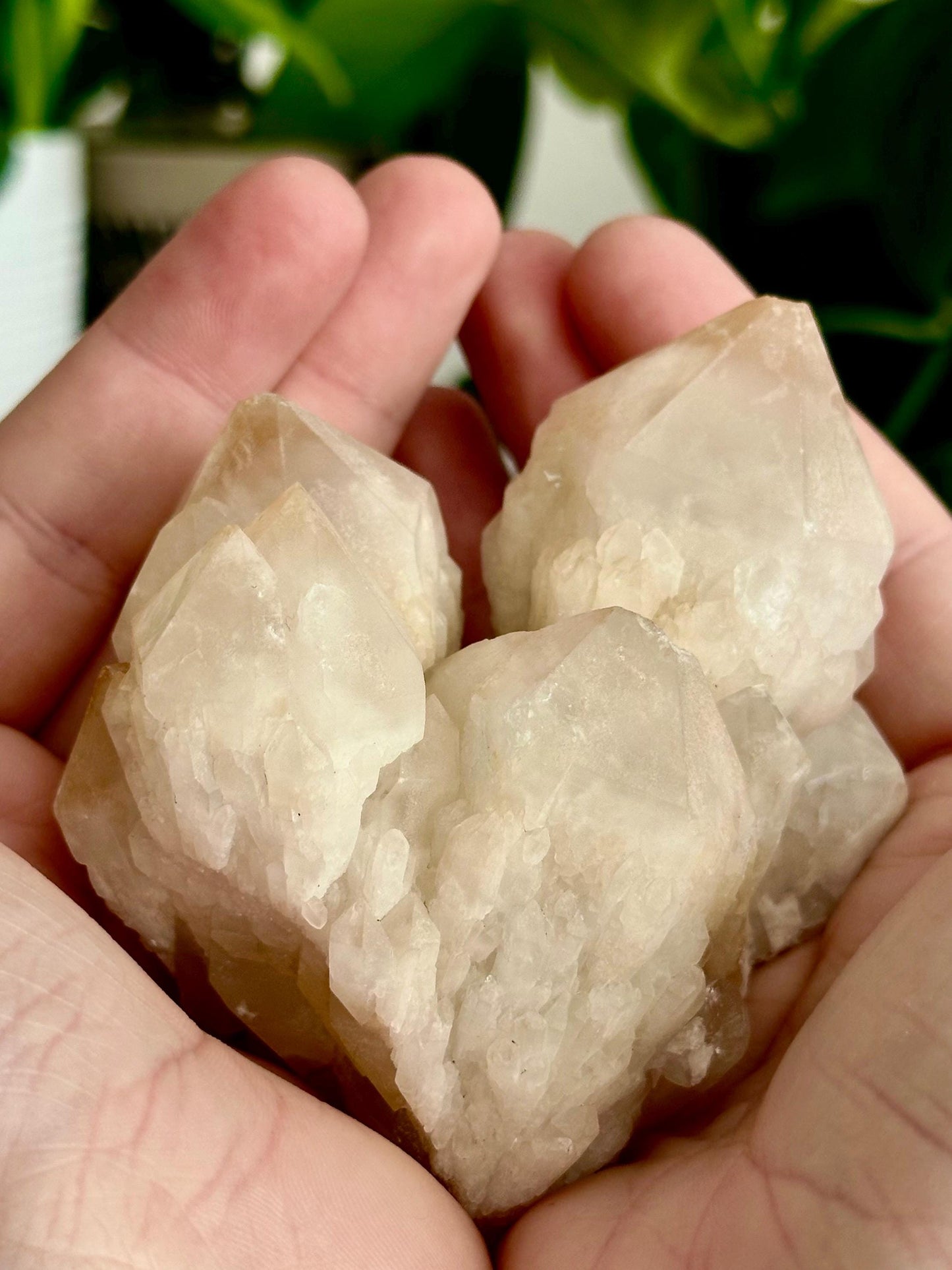 XL Candle // Pineapple Quartz Points - Emotional Healing, Spiritual Insights, & Inner Light - Hemlock & Honey