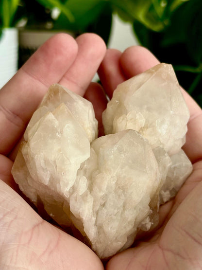 XL Candle // Pineapple Quartz Points - Emotional Healing, Spiritual Insights, & Inner Light - Hemlock & Honey