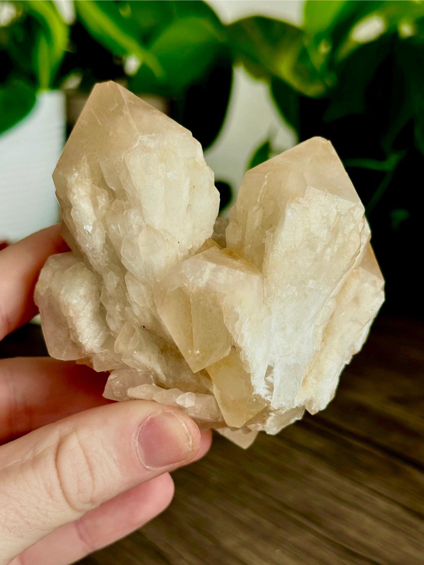 XL Candle // Pineapple Quartz Points - Emotional Healing, Spiritual Insights, & Inner Light - Hemlock & Honey