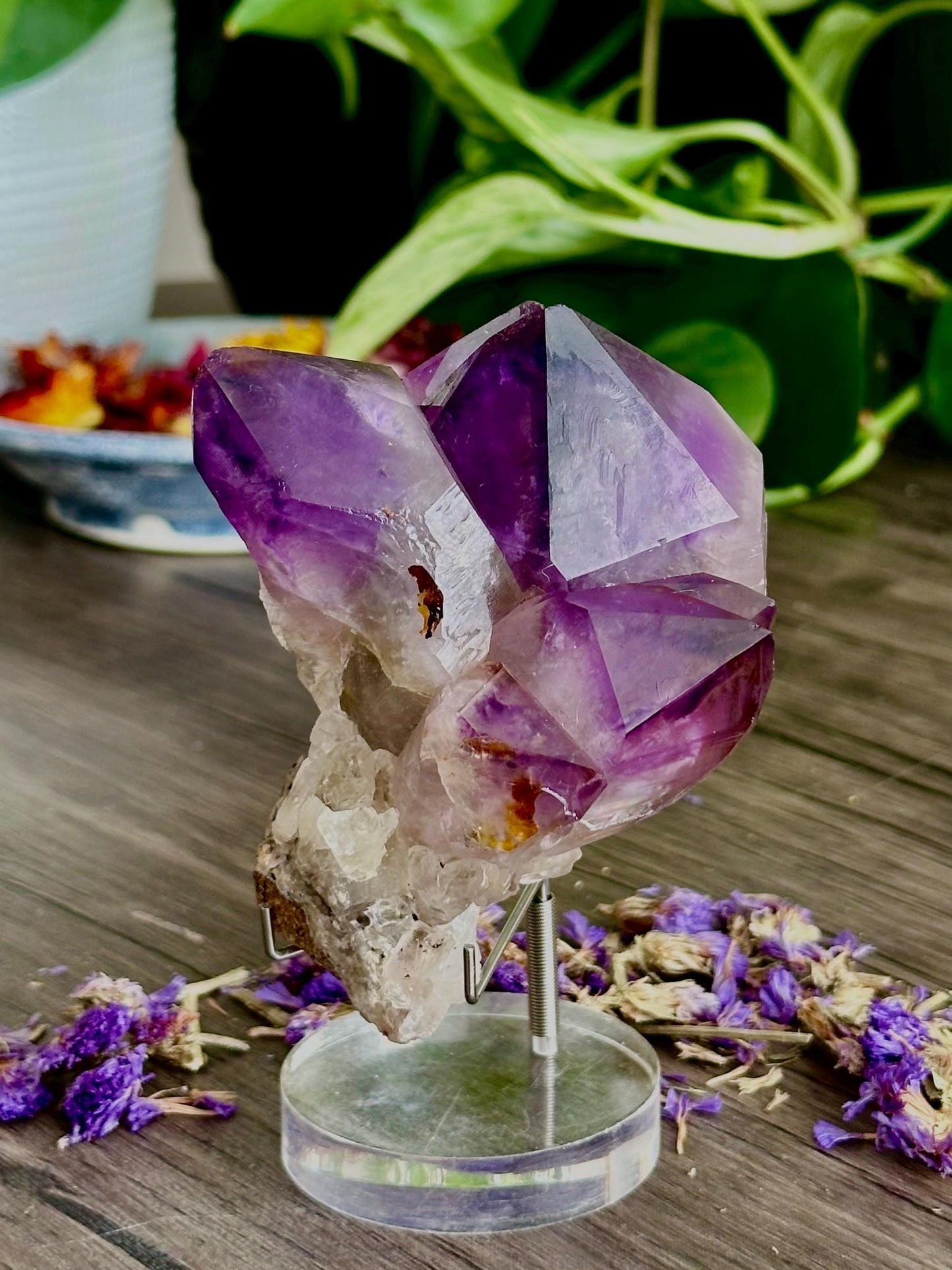 Deep Purple Brazilian Amethyst Cluster- Spiritual protection, Intuition & Calming Energy