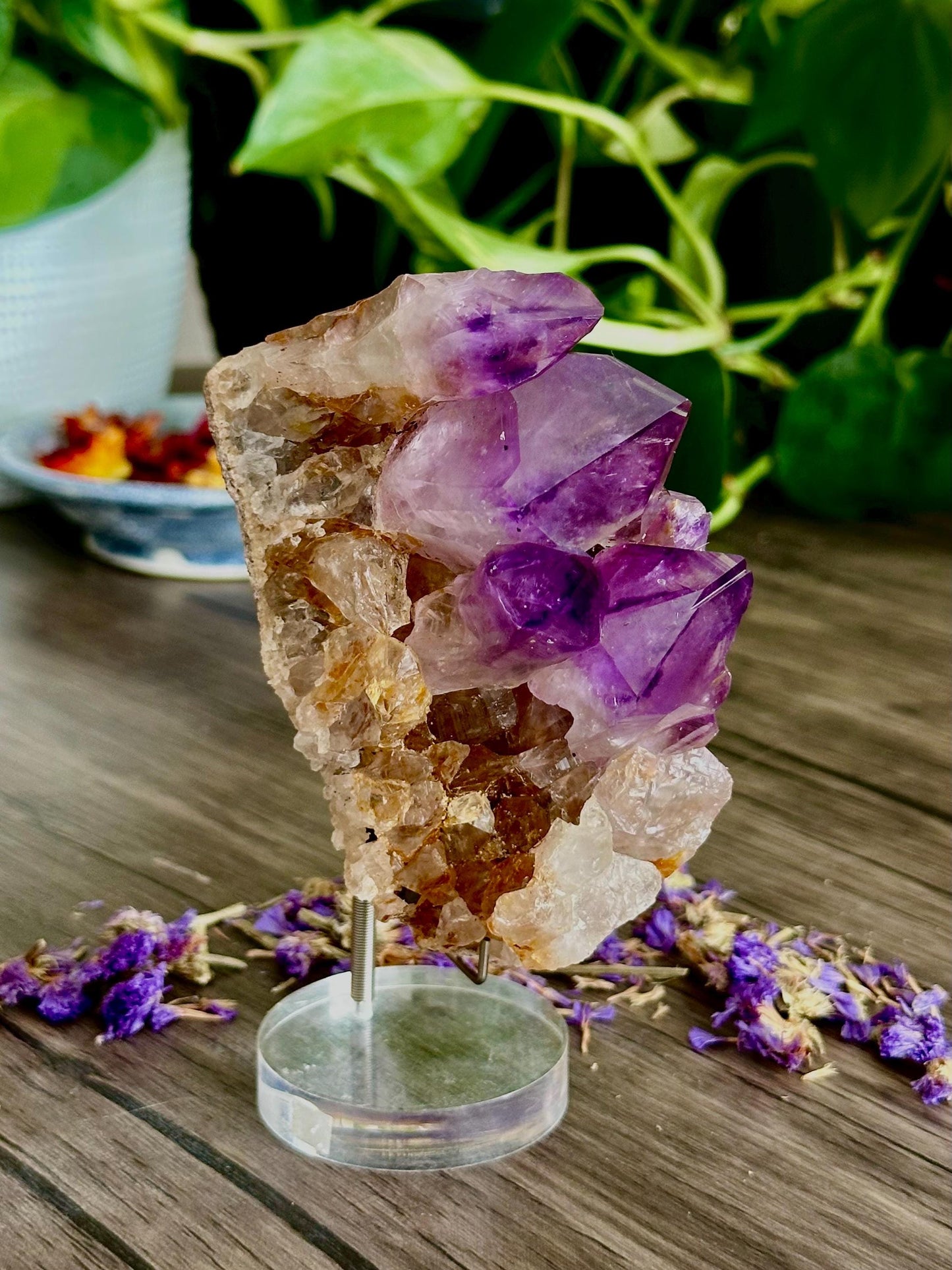 Deep Purple Brazilian Amethyst Cluster- Spiritual protection, Intuition & Calming Energy