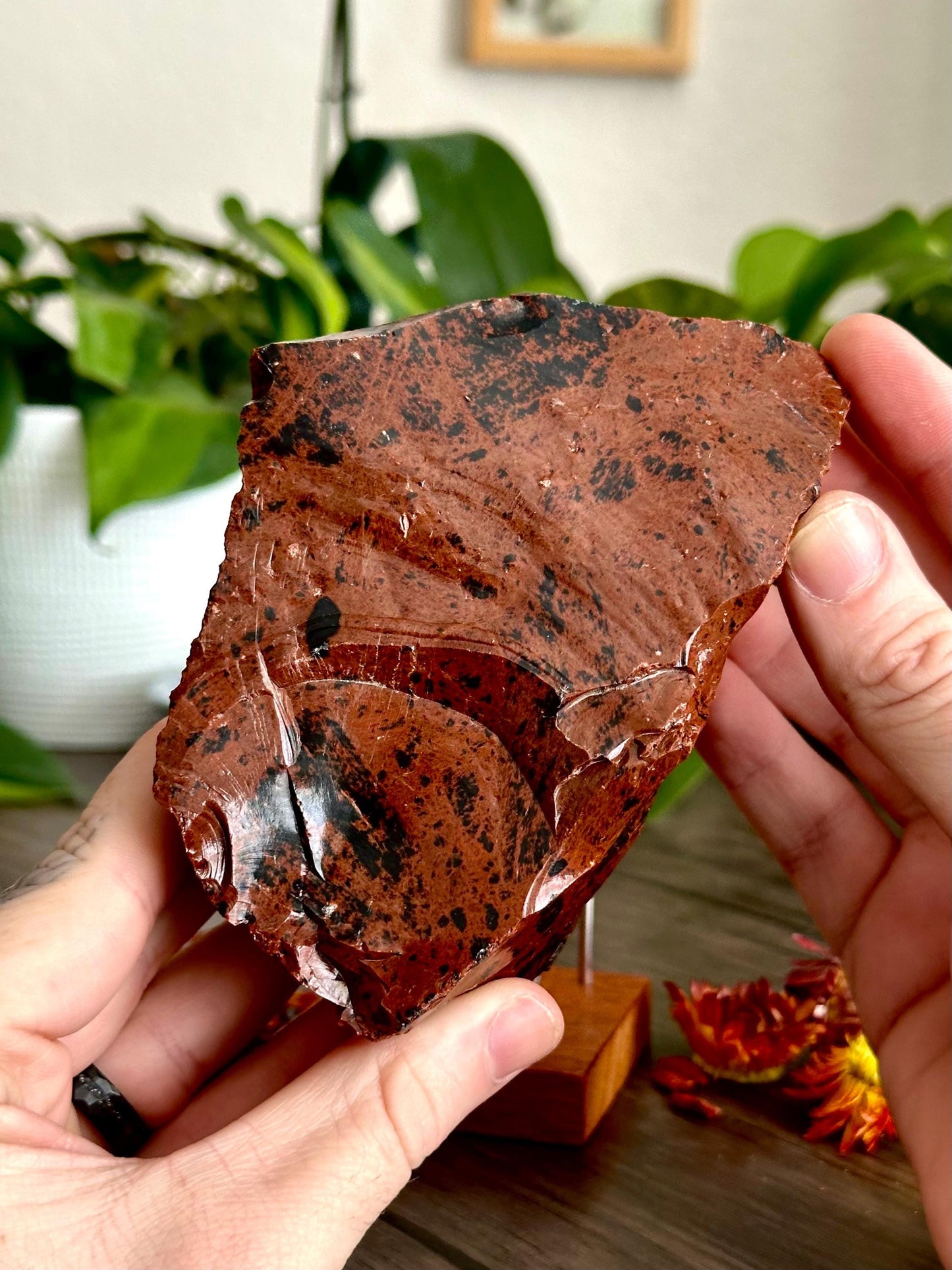 Large Mahogany Obsidian Chunk - Grounding, Protection + Strength - Hemlock & Honey