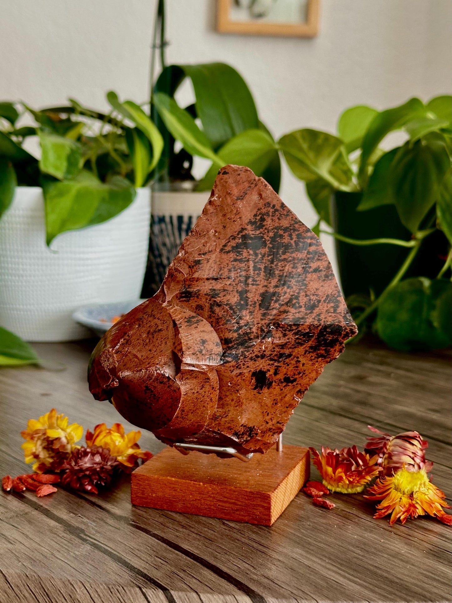 Large Mahogany Obsidian Chunk - Grounding, Protection + Strength - Hemlock & Honey