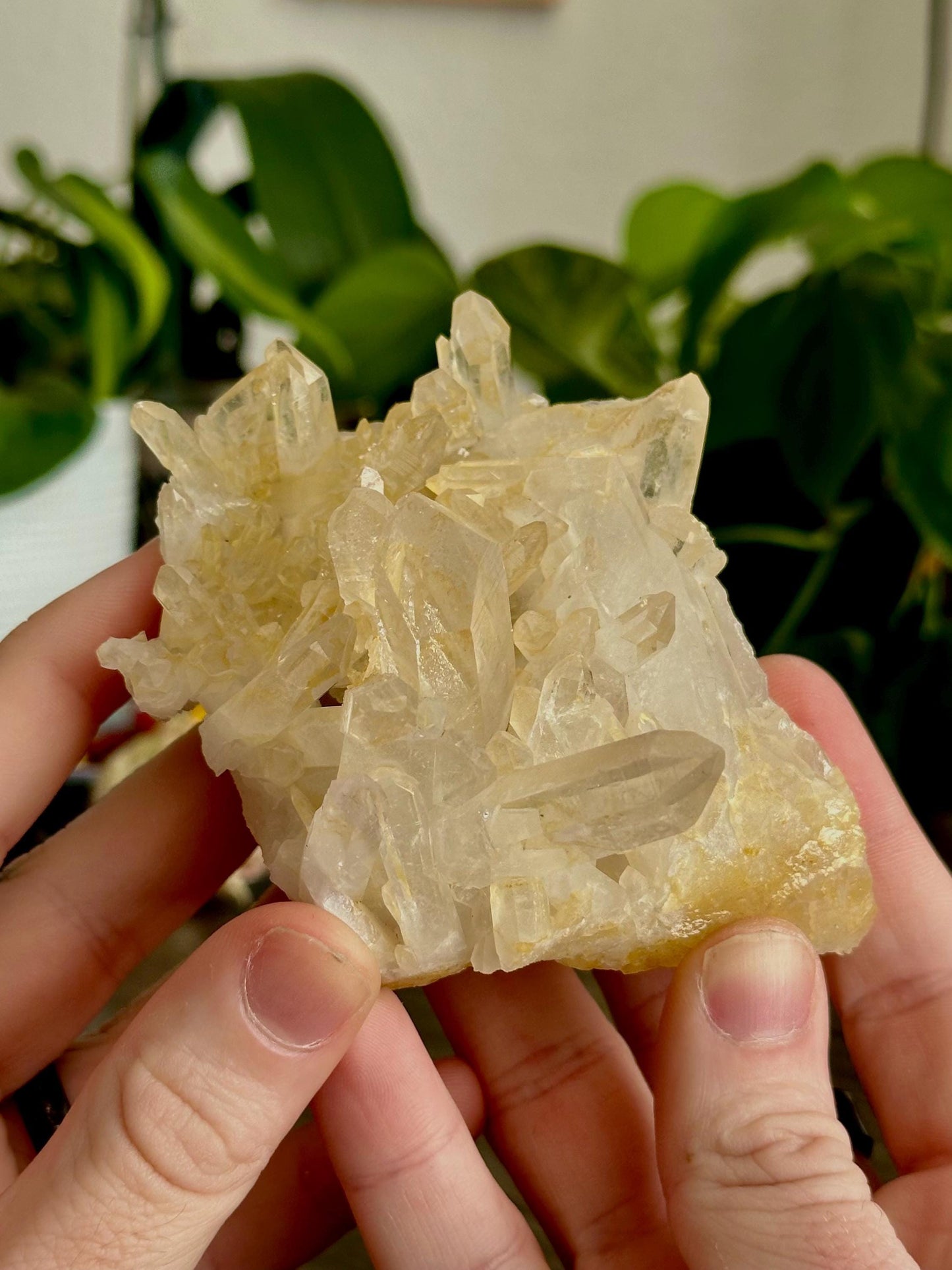 Negative Entropic Quartz Clusters- Energetic restoration, Recovery + Long-term Healing work.