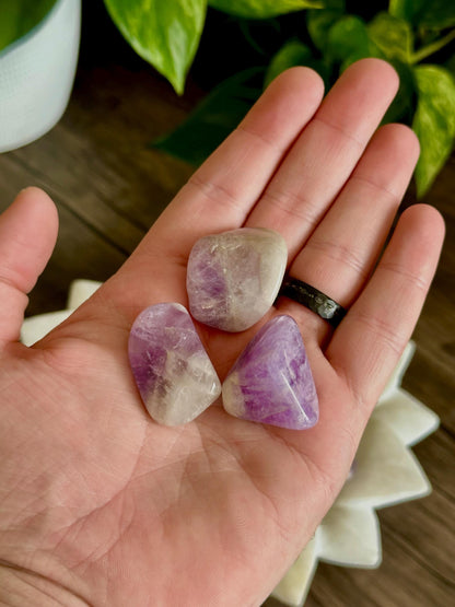 Amethyst Tumbles- Relaxation, Emotional Balance, and Intuition