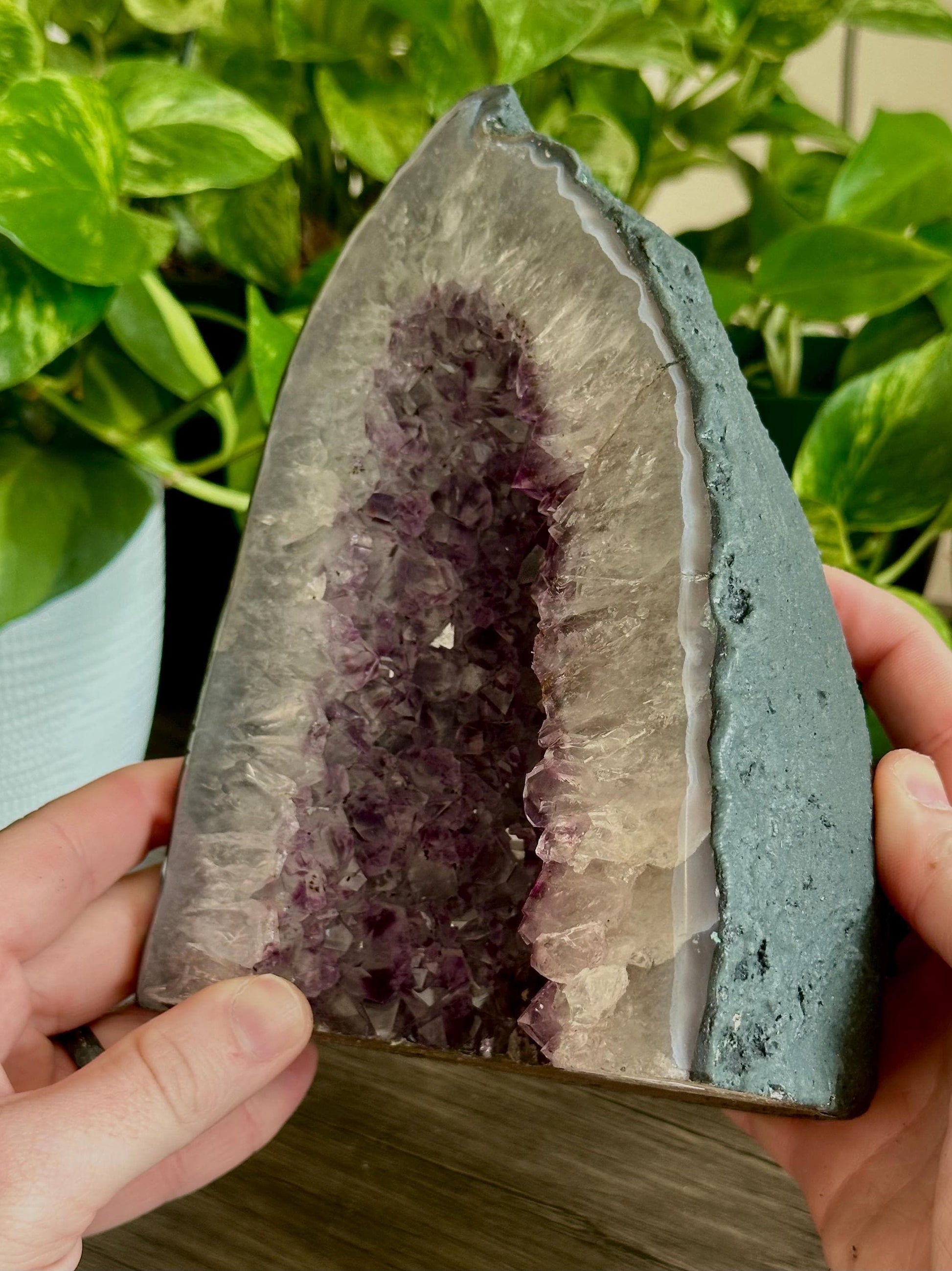 Amethyst Cathedral LG - Spiritual grounding, Home Protection/Calmness, Emotional Balance - Hemlock & Honey