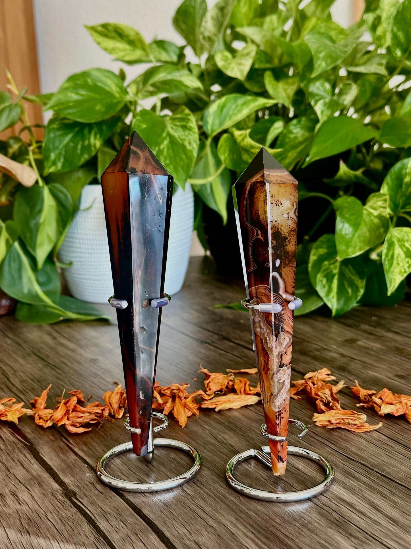 Sardonyx Scepters- Direction, Authority/ Grounded leadership, Focus