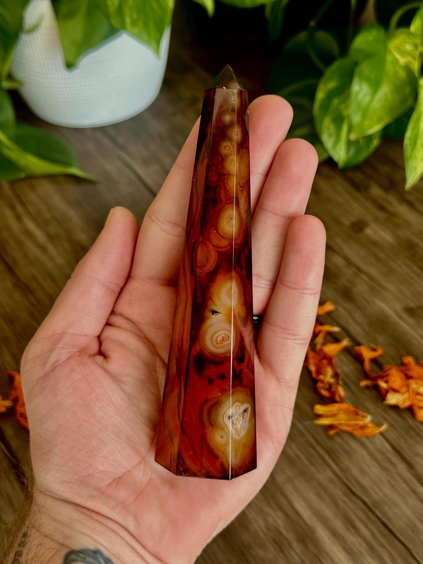 Sardonyx Towers- Stability, Discipline & Focus