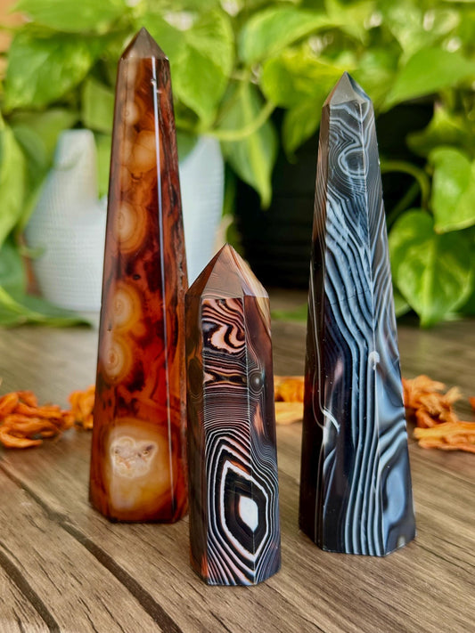 Sardonyx Towers- Stability, Discipline & Focus