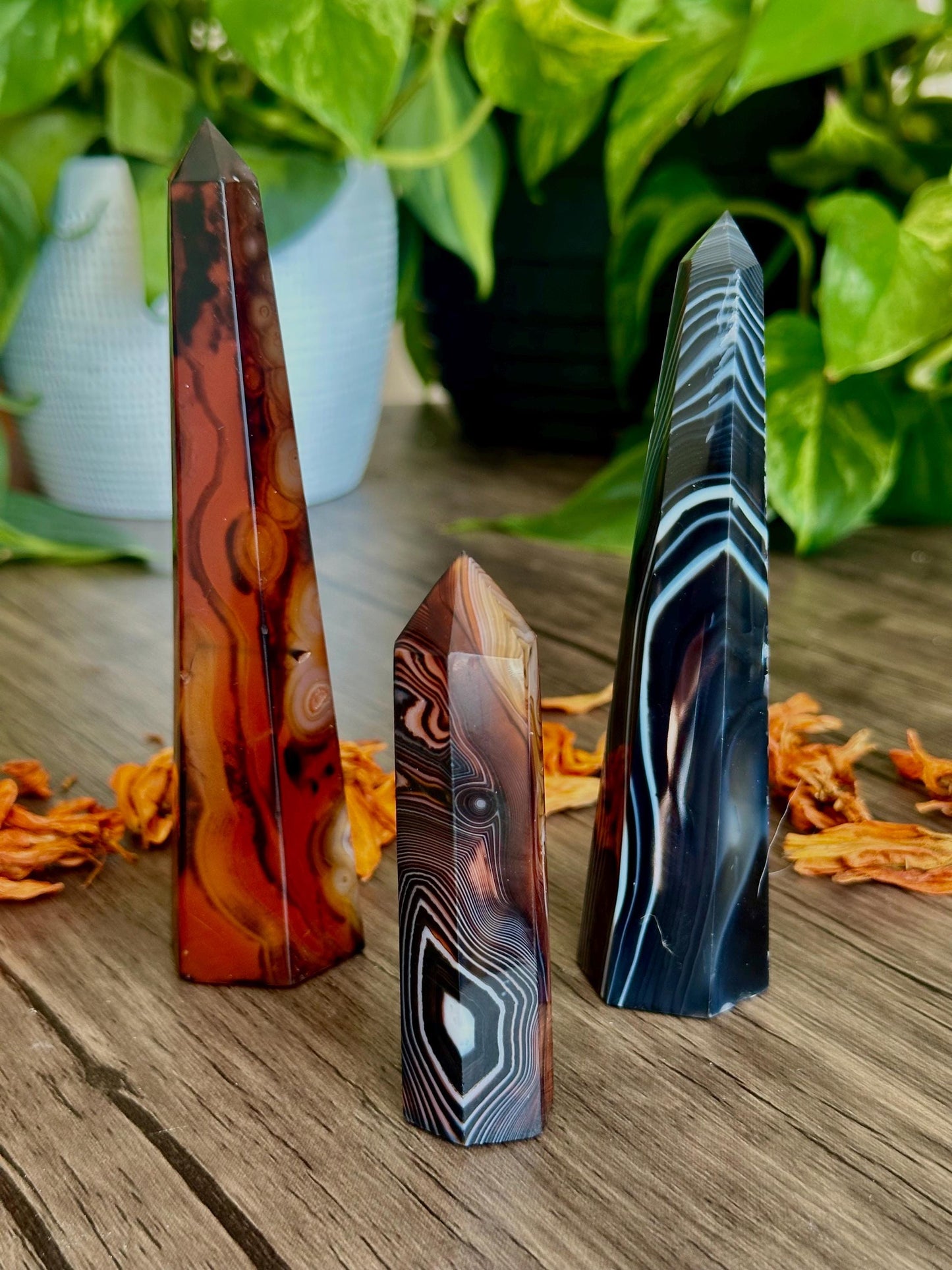 Sardonyx Towers- Stability, Discipline & Focus