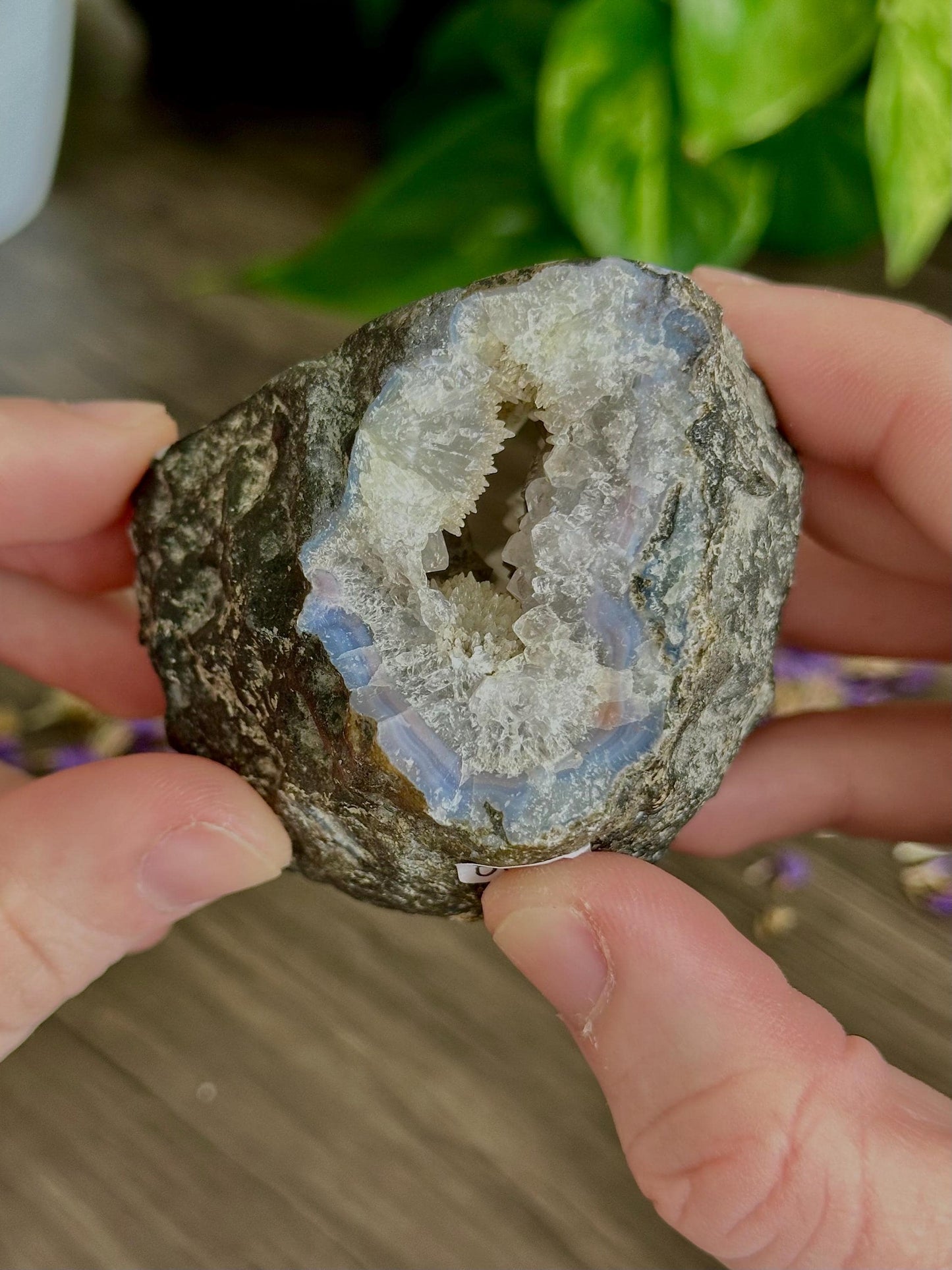 Purple Moss Agate Druzy- Gentle transformation, Emotional growth, Patience