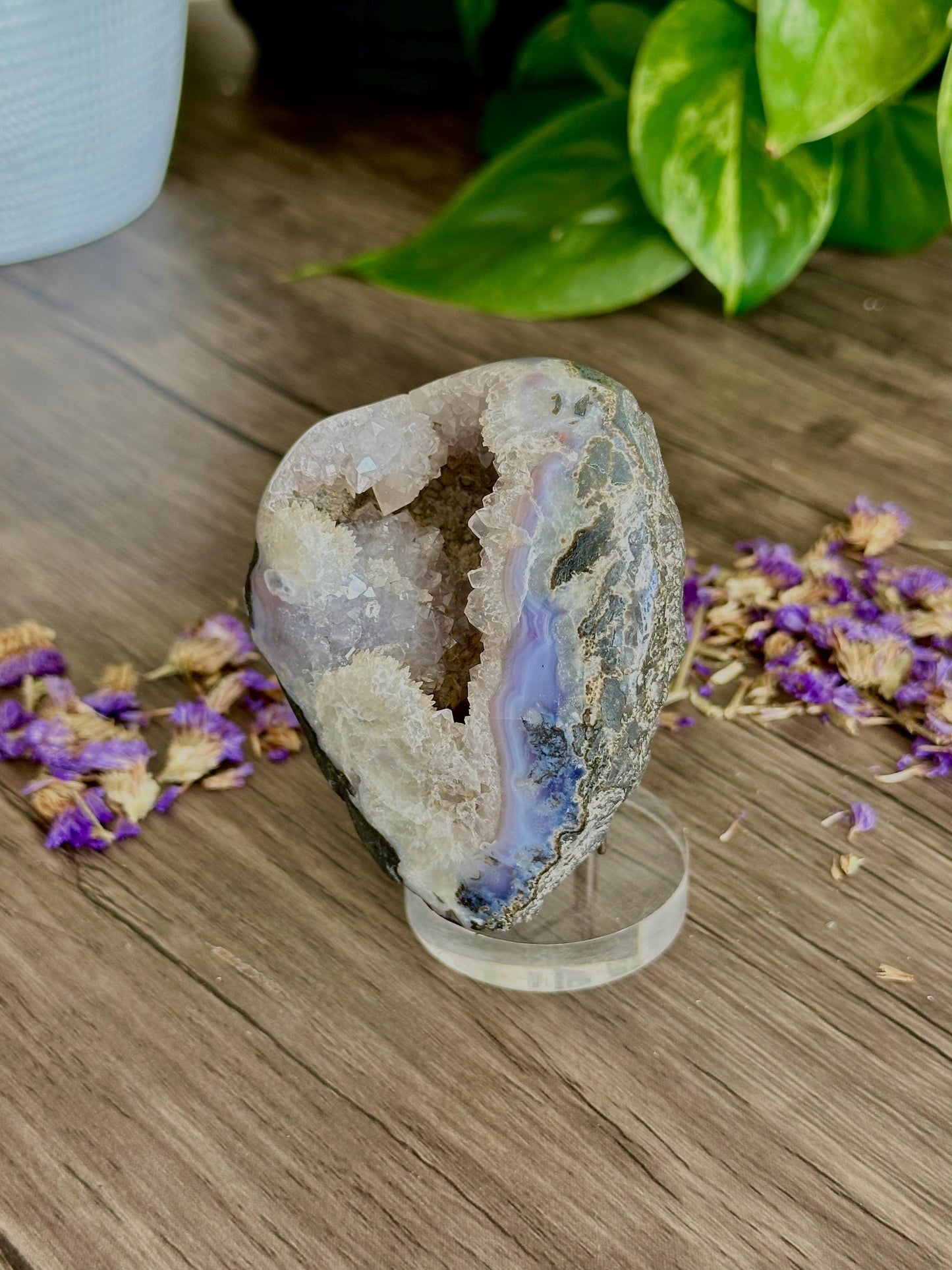 Purple Moss Agate Druzy- Gentle transformation, Emotional growth, Patience