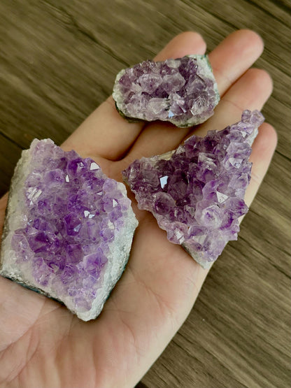Amethyst Cluster- Spiritual Grounding, Protection/Calmness, Emotional Balance, & Intuition