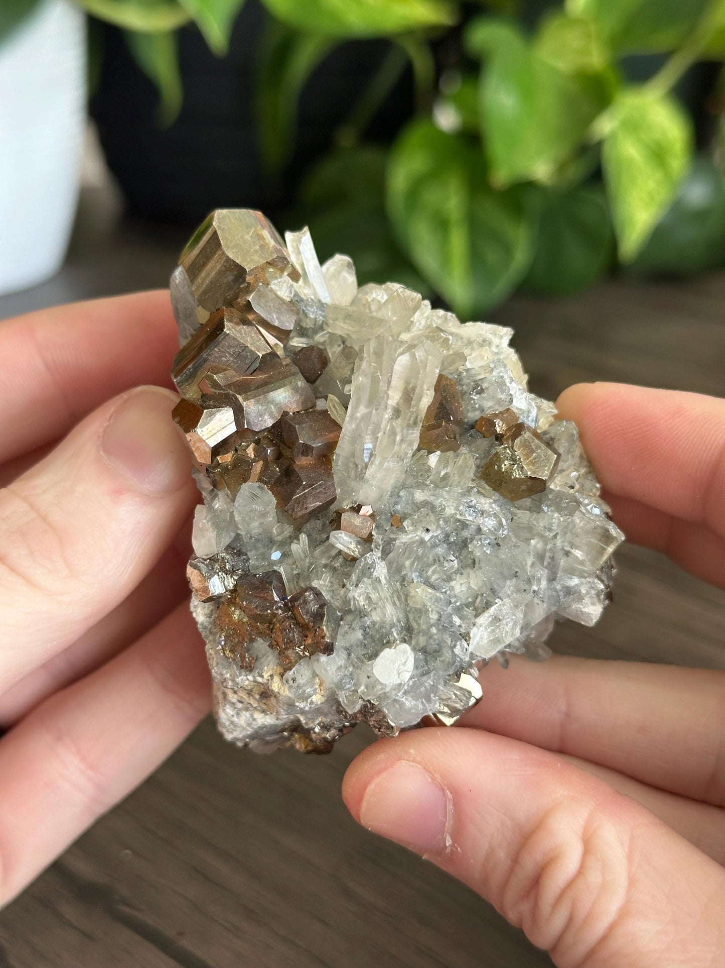 Pyrite & Quartz Cluster -BEAUTIFUL- Protection, Balance/ Amplification