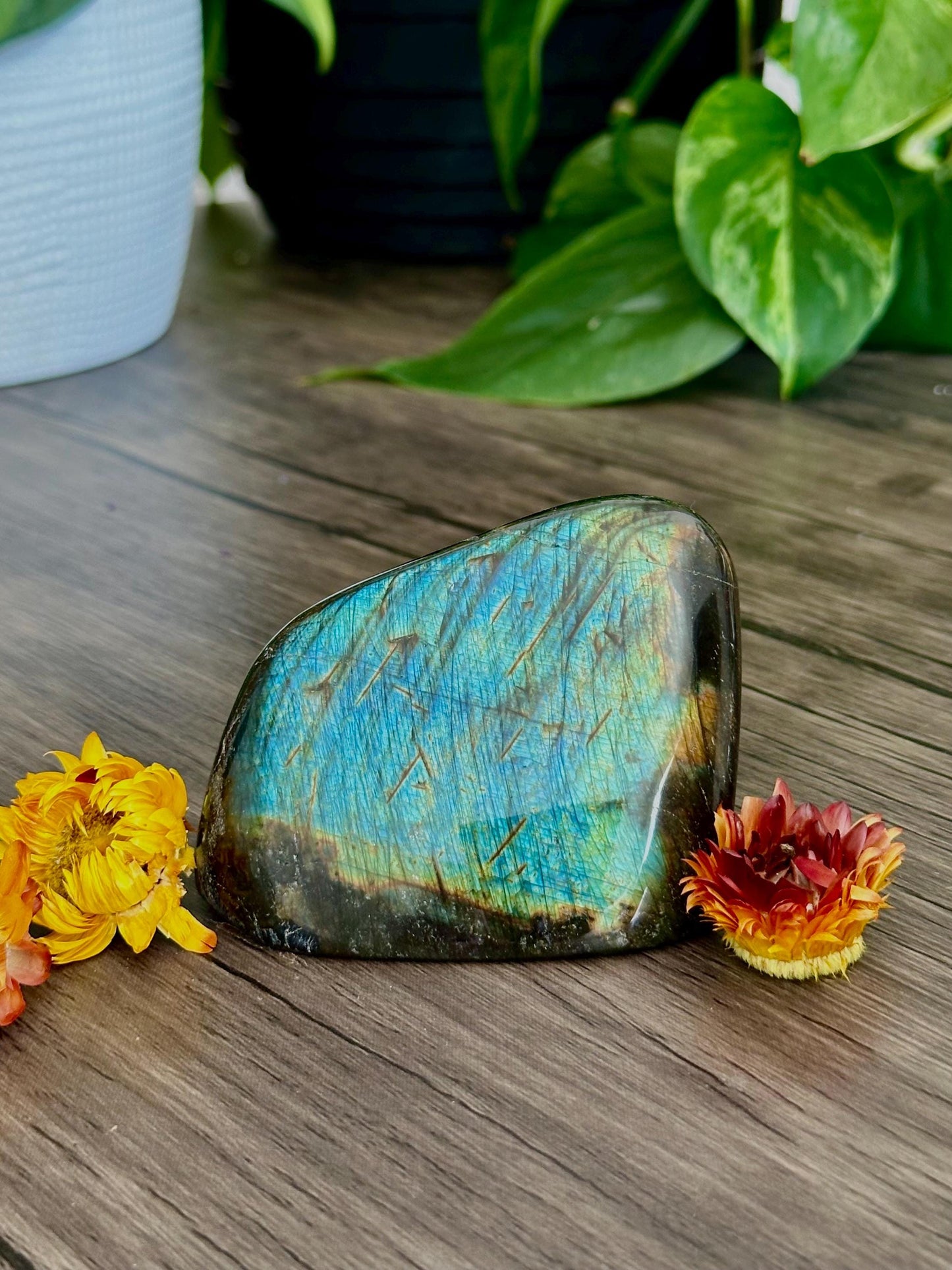 Spectrolite Freeforms- Depth Work, Intuition & Transformation / Protection