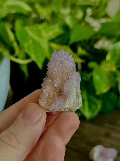 Spirit Quartz Points- Harmony, Spiritual Connection & Unity